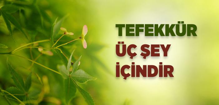 Marifet Nuru Nedir?
