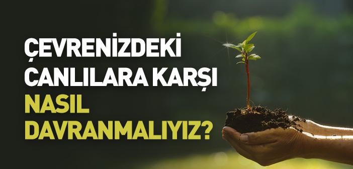 Doğa ve Çevre Temizliği İle İlgili Ayet ve Hadisler