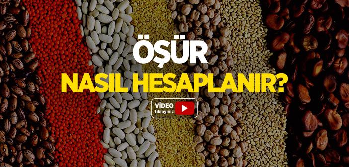 Öşür Nedir, Nasıl Hesaplanır?