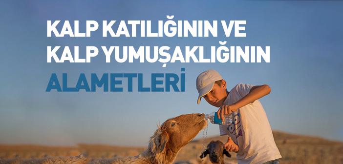 Kalp Katılığının ve Kalp Yumuşaklığının Alametleri