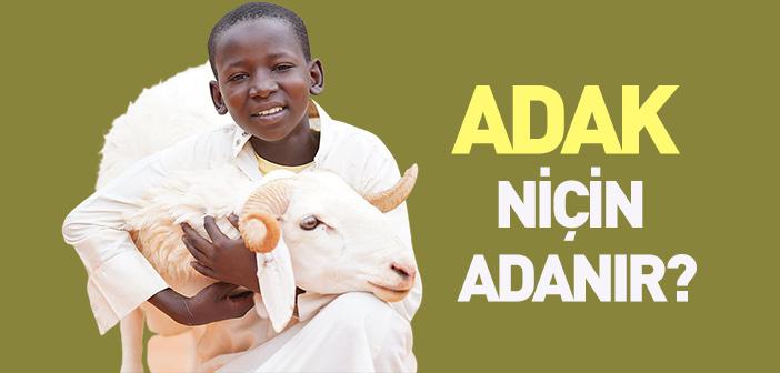 Adak Nedir, Niçin Adanır?