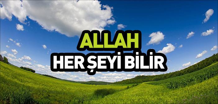 Allah’ın İlim Sıfatı ile İlgili Ayetler