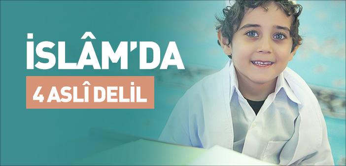 Asli Deliller Nelerdir?