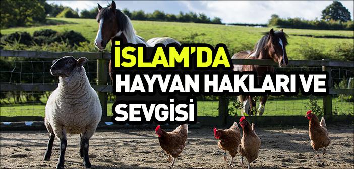 İslam’ın Hayvan Haklarına Verdiği Önem