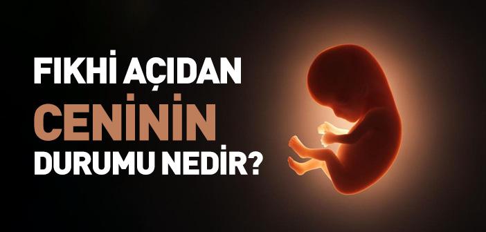 Cenin Ne Demek?