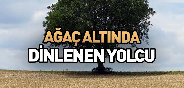 “Dünya Bir Gölgeliktir” Hadisi