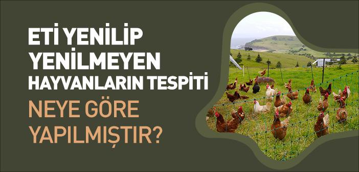 Eti Yenilip Yenilmeyen Hayvanların Tespiti Neye Göre Yapılmıştır?