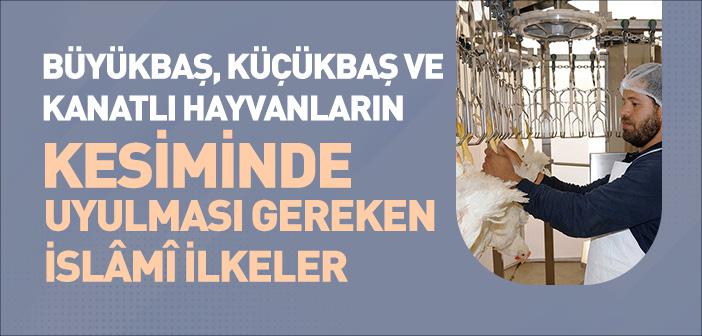 İslam’a Göre Büyükbaş, Küçükbaş ve Kanatlı Hayvanların Kesimi Nasıl Olmalıdır?
