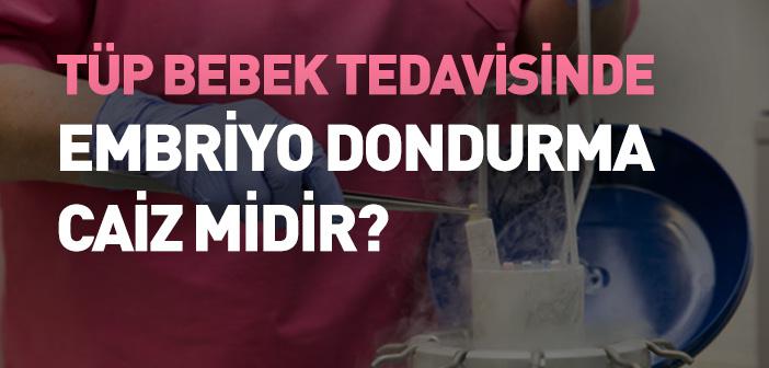 Tüp Bebek Tedavisinde Embriyo Dondurma Caiz midir?