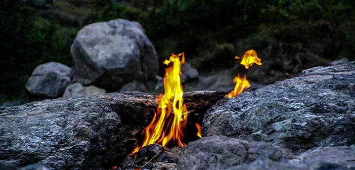 Mecusilik Nedir?