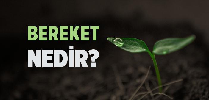 Bereket Ne Demek?