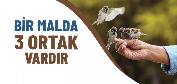 Bir Malda 3 Ortak Vardır