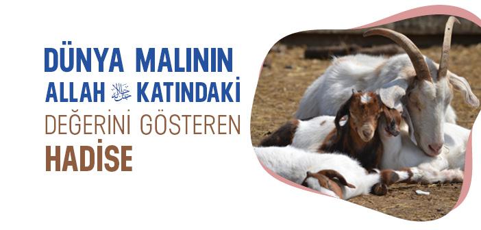 Dünya Malının Allah Katındaki Değerini Gösteren Hadise