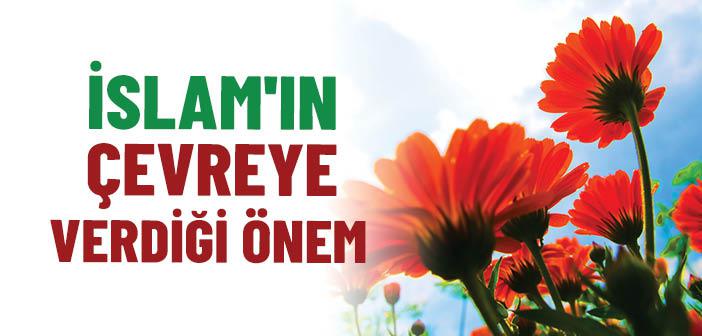 İslam Dininin Çevreye Verdiği Önem Nedir?
