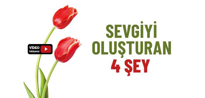 Sevgi Nasıl Oluşur?