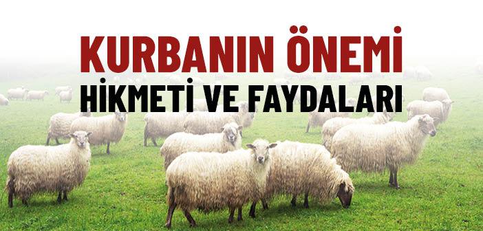 Kurban Nedir? Kurbanın Önemi, Hikmeti ve Faydaları Nelerdir?