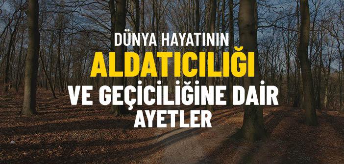 Dünya Hayatı ile İlgili Ayetler