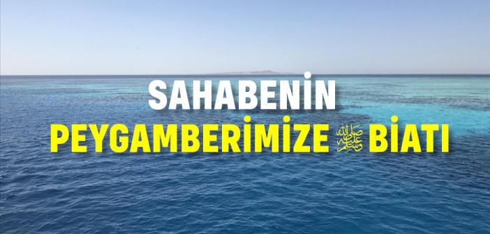 Sahabenin Peygamberimize Biatı