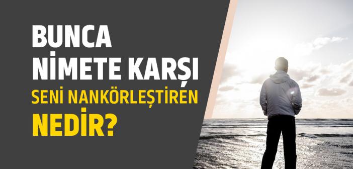 Bunca Nimete Karşı Seni Nankörleştiren Nedir?