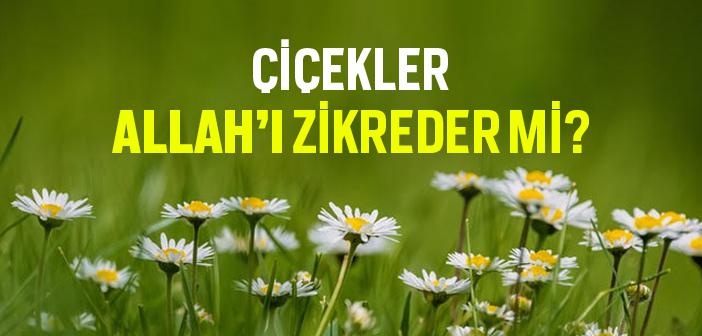 Çiçekler Allah’ı Zikreder mi?