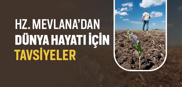 Hz. Mevlana’dan (ra.) Dünya Hayatı İçin Tavsiyeler