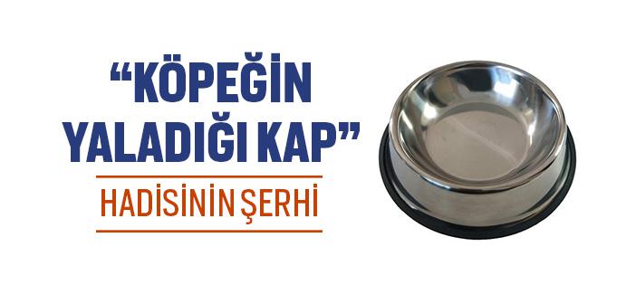 “Köpeğin Yaladığı Kap” Hadisi