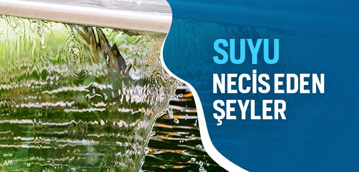 Suyu Necis Eden Şeyler ile İlgili Hadisler