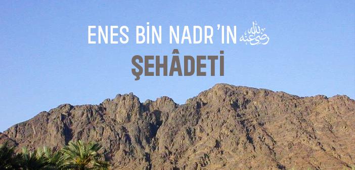 Enes Bin Nadr (r.a.) Nasıl Şehit Oldu?