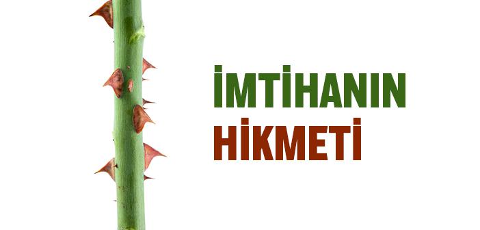İmtihanın Hikmeti