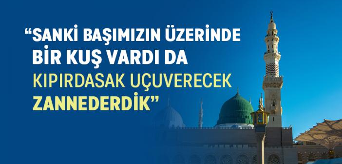 Peygamber Efendimiz’e (s.a.v) Karşı Edep