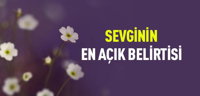 Sevdiğinin Sevdiğini Sevmek