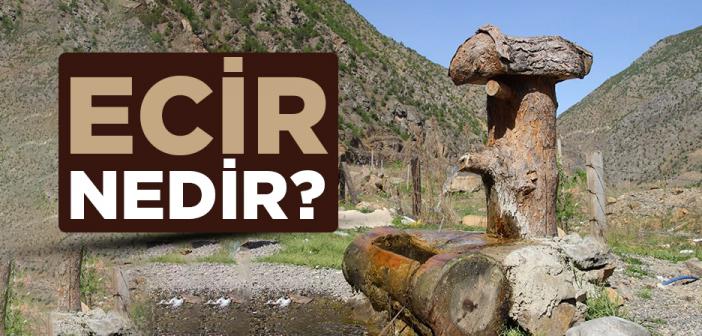 Ecir Nedir?