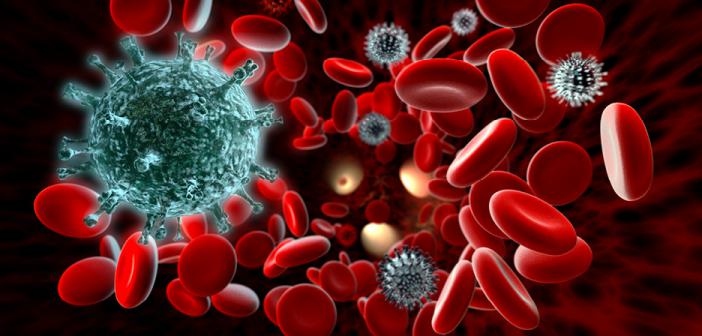 Bilim İnsanları Bağışıklık Sisteminde "Antibiyotik Krizini Çözebilecek" Yeni Bir Bölüm Keşfetti