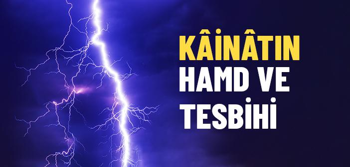 Her Varlık Allah’ı Nasıl Tesbih Eder?
