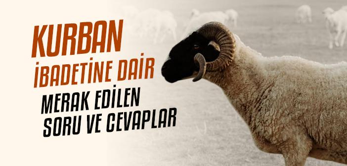 Kurbanla İlgili Sıkça Sorulan Sorular
