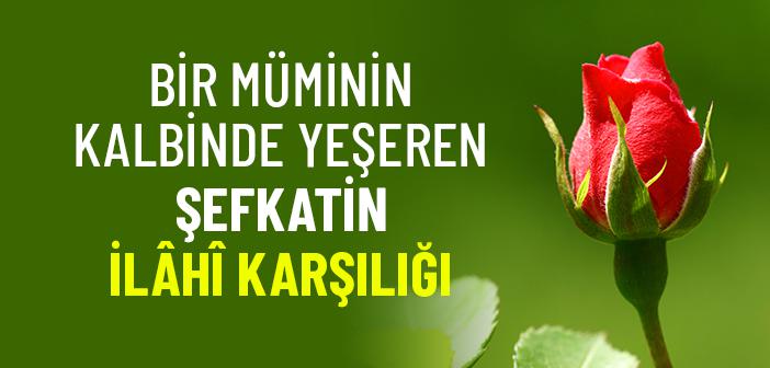Allah ve Rasûlullah Sevgisi, Bir Mümini Hangi Mertebelere Ulaştırır?