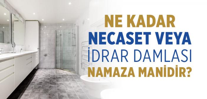 Ne Kadar Necaset veya İdrar Damlası Namaza Manidir?