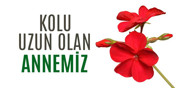 Kolu Uzun Olan Annemiz: Zeynep Binti Cahş (r.anha)