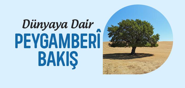 Dünyaya Dair Peygamberî Bakış