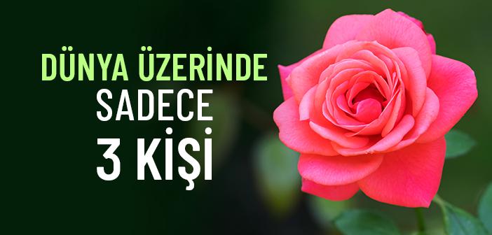 Dünya Üzerinde Sadece Üç Kişi