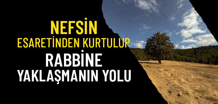 Benlikten Hiçliğe