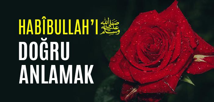 Hz. Muhammed Mustafâ (s.a.v.)’i Anlamak