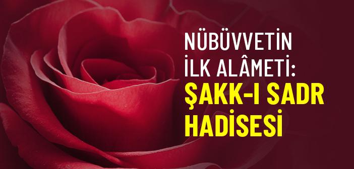 İkinci Şerh-i Sadr: Kalb-i Nebî’nin Merhamet, Şefkat ve Rahmet ile Doldurulması