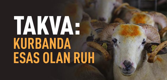 Kurban: Allah’ın Şiarlarına Hürmet