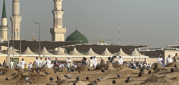 Peygamberimizin Hz. Ali’yi Yetiştirmesi