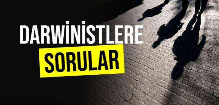 Darwinistlere Sorular