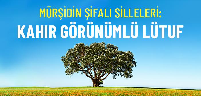 Hz. Mevlana: Nefis ve Kara Yılan Hikâyesi