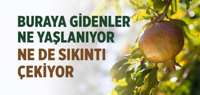 Buraya Gidenler Ne Yaşlanıyor Ne De Sıkıntı Çekiyor