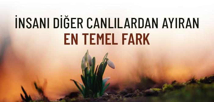 İnsanı Diğer Canlılardan Ayıran En Temel Fark: İffet ve Haya