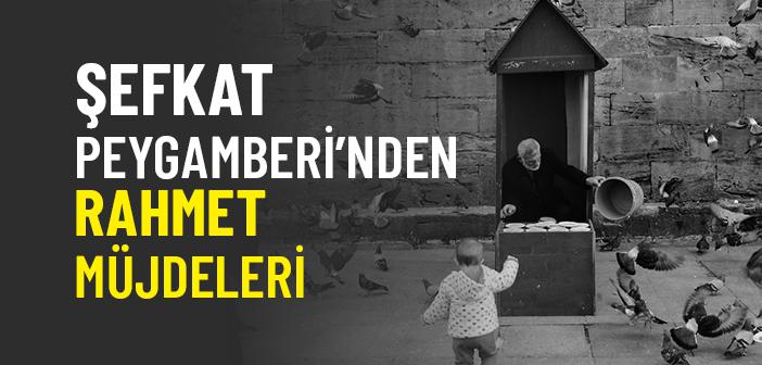 Manevi Terakkînin Anahtarı: Yaratılana Merhamet
